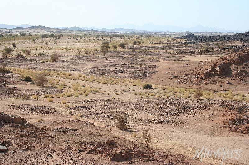 Mud Maps Africa Asodai 3198